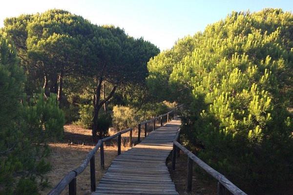 Hostal Manuela Punta Umbría المظهر الخارجي الصورة